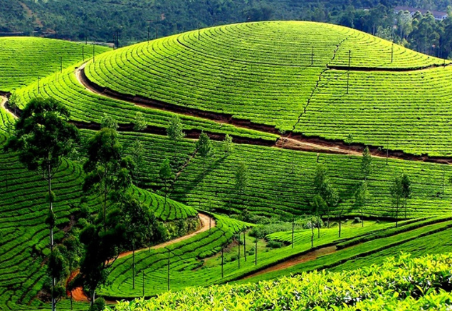 Kerala